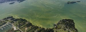 An aerial view of a large harmful algal bloom in Lake Erie, September 20...