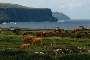 ireland